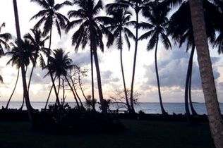 Beach House Walrus Playa Bonita 1 Beach House Walrus Playa Bonita 1